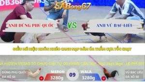 Trận 9 bồ Xà Xía 14/5/2026