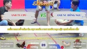 Trận 9 bồ Xà Xía 7/5/2026