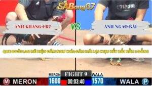 Trận 9 Gà Tre bồ C3 23/5/2026