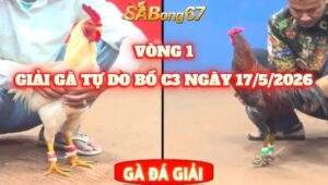 vòng 1 giải gà tự do bồ CPC3 ngày 17/5/2026