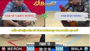 Trận 10 bồ CPC2 5/6/2026