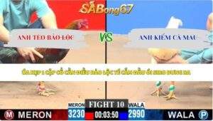 Trận 10 bồ CPC3 6/6/2026