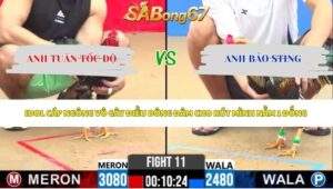 Trận 11 bồ CPC2 5/6/2026