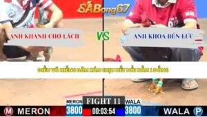 Trận 11 bồ CPC3 8/6/2026