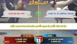 Trận 11 bồ Thường Phước 7/6/2026