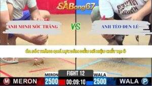 Trận 12 bồ CPC2 5/6/2026