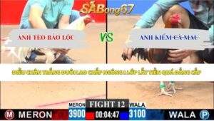 Trận 12 bồ CPC3 8/6/2026