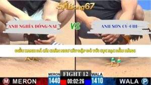 Trận 12 Gà Tre bồ C3 6/6/2026