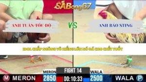Trận 14 bồ CPC2 3/6/2026