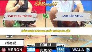 Trận 14 bồ CPC2 5/6/2026