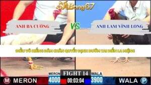 Trận 14 bồ CPC3 4/6/2026