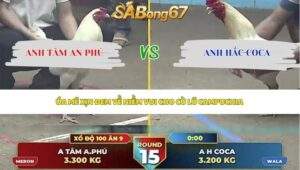 Trận 15 bồ Thường Phước 7/6/2026