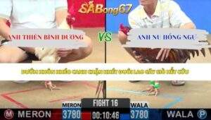 Trận 16 bồ CPC2 5/6/2026