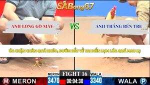 Trận 16 bồ CPC3 1/6/2026