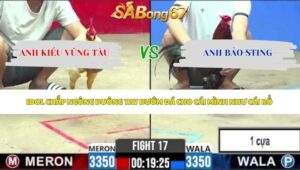 Trận 17 bồ CPC2 3/6/2026