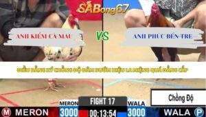 Trận 17 bồ CPC2 5/6/2026