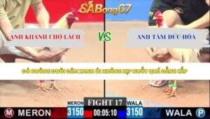 Trận 17 bồ CPC3 1/6/2026