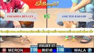 Trận 17 bồ CPC3 8/6/2026
