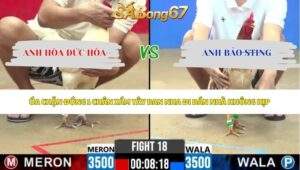Trận 18 bồ CPC2 5/6/2026