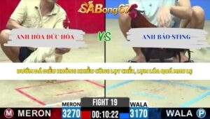 Trận 19 bồ CPC2 3/6/2026