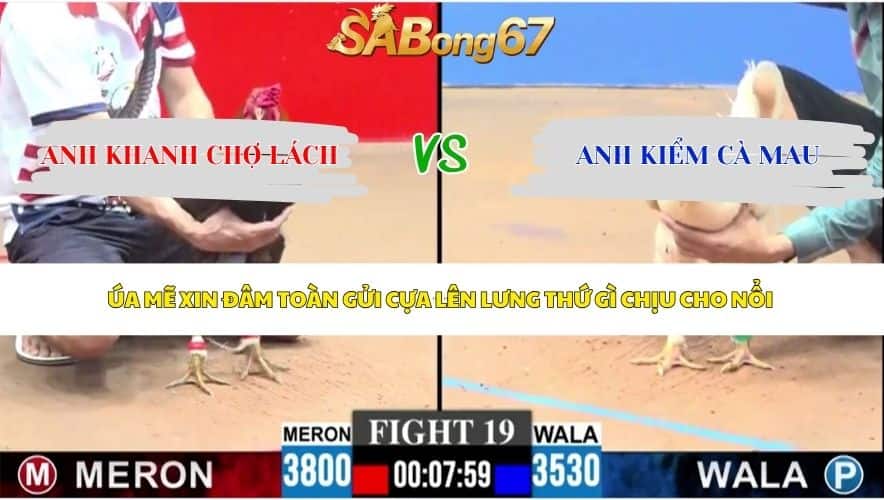 Trận 19 bồ CPC3 8/6/2026
