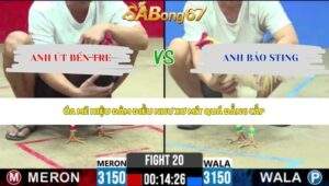 Trận 20 bồ CPC2 3/6/2026