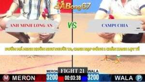Trận 21 bồ CPC3 4/6/2026