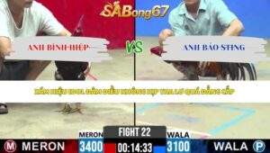 Trận 22 bồ CPC2 3/6/2026