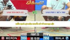 Trận 23 bồ CPC2 3/6/2026