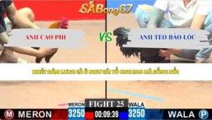 Trận 25 bồ CPC3 6/6/2026