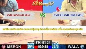 Trận 26 bồ CPC3 1/6/2026