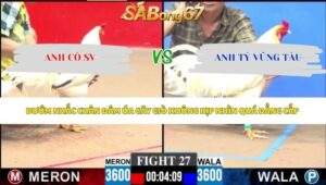 Trận 27 bồ CPC3 4/6/2026