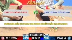 Trận 28 bồ CPC3 4/6/2026