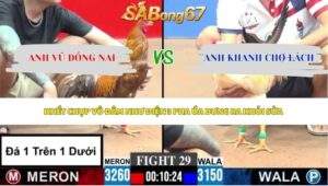 Trận 29 bồ CPC3 8/6/2026