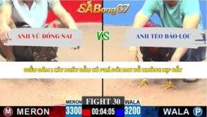 Trận 30 bồ CPC3 6/6/2026
