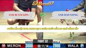 Trận 32 bồ CPC2 5/6/2026