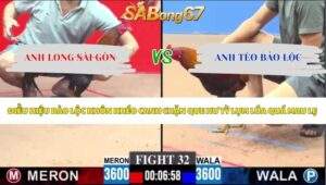 Trận 32 bồ CPC3 4/6/2026