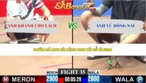 Trận 35 bồ CPC3 8/6/2026