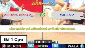 Trận 37 bồ CPC3 4/6/2026