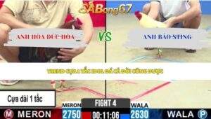 Trận 4 bồ CPC2 3/6/2026