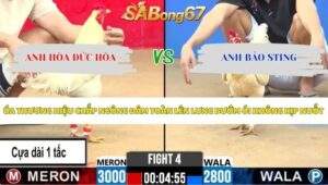 Trận 4 bồ CPC2 5/6/2026