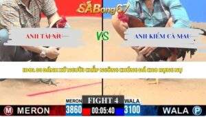 Trận 4 bồ CPC3 6/6/2026