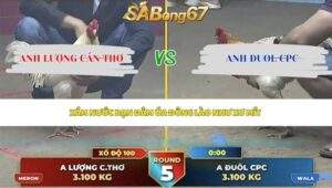 Trận 5 bồ Thường Phước 7/6/2026