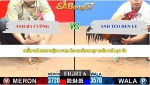 Trận 6 bồ CPC3 4/6/2026