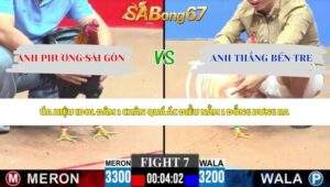 Trận 7 bồ CPC3 1/6/2026