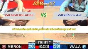 Trận 7 bồ CPC3 8/6/2026