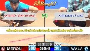 Trận 8 bồ CPC3 8/6/2026