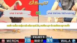 Trận 9 bồ CPC3 4/6/2026