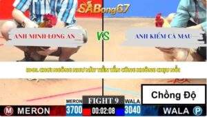 Trận 9 bồ CPC3 8/6/2026